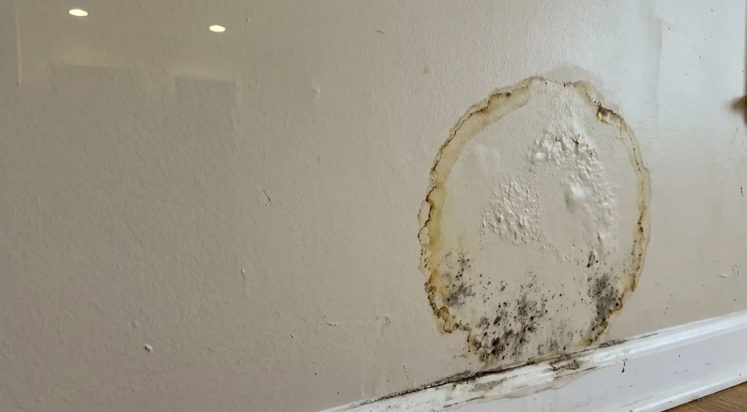 Hidden Water Damage and Mold Growth on Ceiling New Jersey