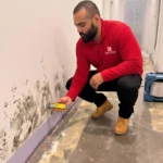 Mold Remediation Moisture Inspection New Jersey