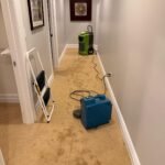 Water Extraction and Drying Services