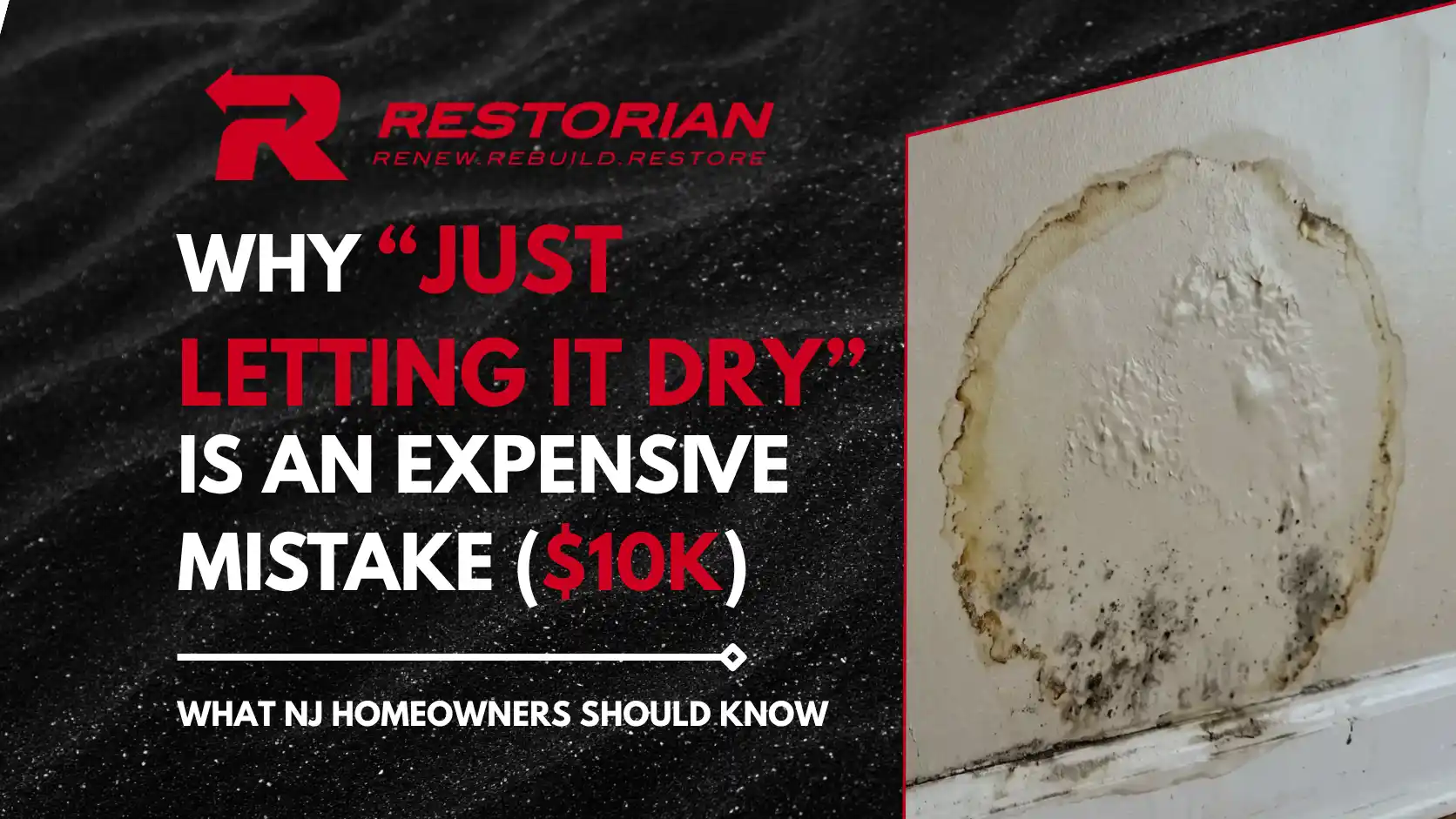 mold remediation