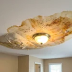 Water Damaged Ceiling Leak New Jersey