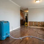Structural Drying Dehumidifier and Air Mover NJ